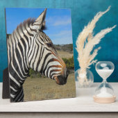 Hartmanns Zebra-Profil bei Fossil Rim Fotoplatte (Seite)