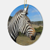 Hartmanns Zebra-Profil bei Fossil Rim Keramikornament (Links)