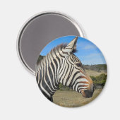 Hartmanns Zebra-Profil bei Fossil Rim Magnet (Vorderseite/Rückseite)