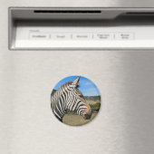 Hartmanns Zebra-Profil bei Fossil Rim Magnet (In Situ (Geschirrspüler))