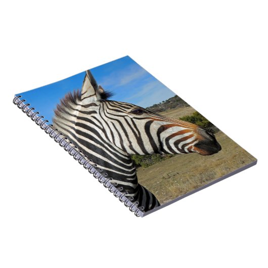 Hartmanns Zebra-Profil bei Fossil Rim Notizblock (Rechte Seite)