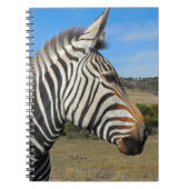 Hartmanns Zebra-Profil bei Fossil Rim Notizblock (Vorderseite)