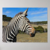 Hartmanns Zebra-Profil bei Fossil Rim Poster (Vorne)