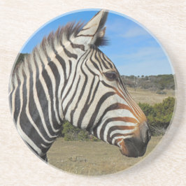 Hartmanns Zebra-Profil bei Fossil Rim Sandstein Untersetzer