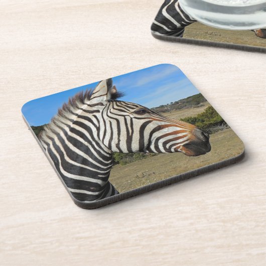 Hartmanns Zebra-Profil bei Fossil Rim Untersetzer (Linke Seite)