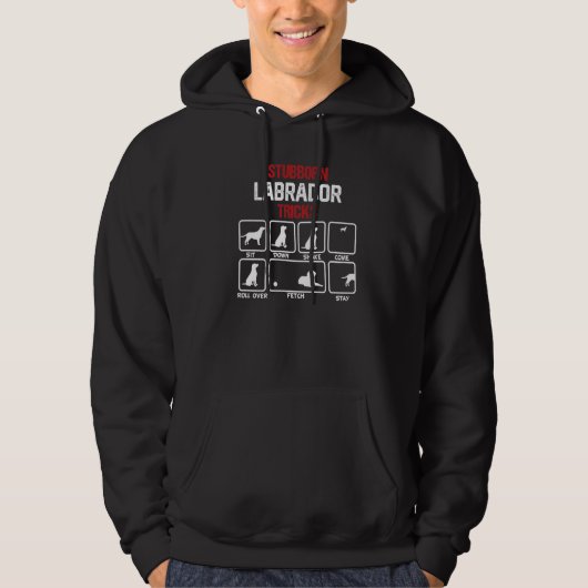 Hartnäckige Labrador-Tricks Premium Hoodie (Vorderseite)