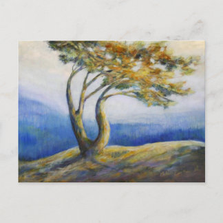 Hartnäckige Postkarte