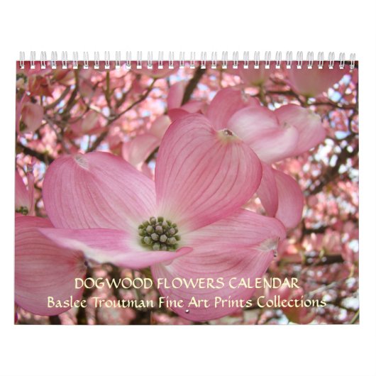 HARTRIEGEL-BAUM-BLUMEN-KALENDER Frühling Kalender (Titelbild)