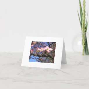 Hartriegel-Baum Notecard Karte