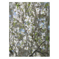 Hartriegel-Baum-weiße Blumen-Blüten