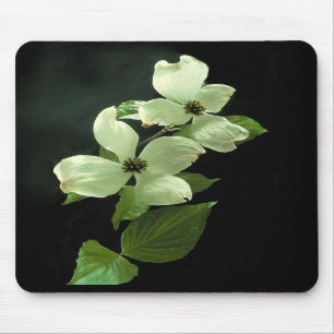 Hartriegel Blossum Mousepad