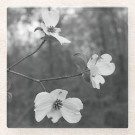 "Hartriegel blüht" ursprüngliche Kunst durch KAS Glasuntersetzer