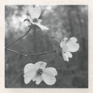 "Hartriegel blüht" ursprüngliche Kunst durch KAS Glasuntersetzer