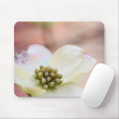 Hartriegel-Blüte Mousepad (Mit Mouse)