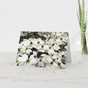 Hartriegel-Blütenblumengrußkarte Karte