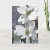 Hartriegel-Grüße Karte (Vorderseite)