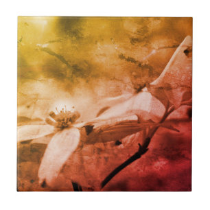 Hartriegelblüte Schwarzweiß Vintage   Fliese