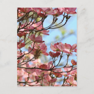 HARTRIEGELBLÜTEN 10 Karten Kunst Geschenke Tassen