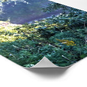 Hart's Cove, Oregon Coast Poster (Ecke)