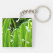 Hart's Zungenfern Schlüsselring (Rückseite)