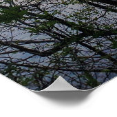 Hartwell Mountain Lake Sunset Poster (Ecke)