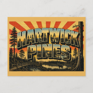 Hartwick Pines Michigan Urwald Seen Postkarte