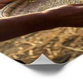 Harvest Grain, Rice Field Poster (Ecke)