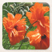Harvest Moon Oriental Poppy Rechteckiger Pappuntersetzer (Vorderseite)