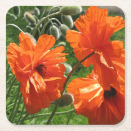 Harvest Moon Oriental Poppy Rechteckiger Pappuntersetzer