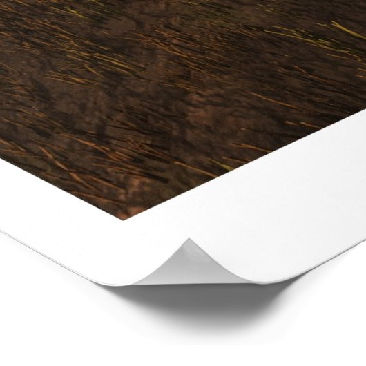 Harvest Moon Poster (Ecke)