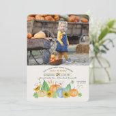 Harvest Pumpkins Foto Einladung (Stehend Vorderseite)