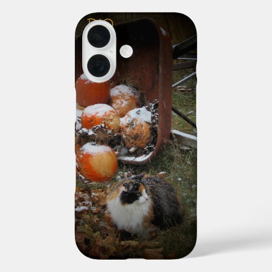 Harvest Pumpkins und Calico Cat Case-Mate iPhone Hülle (Rückseite)