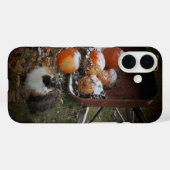 Harvest Pumpkins und Calico Cat Case-Mate iPhone Hülle (Rückseite (Horizontal))