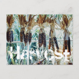 Harvest Season Farmer's Market Postkarte