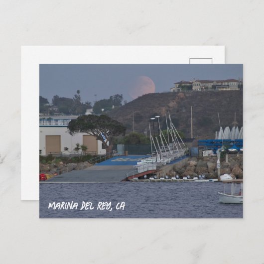 Harvest Super Moon - Marina Del Rey, CA Postkarte (Vorne/Hinten)