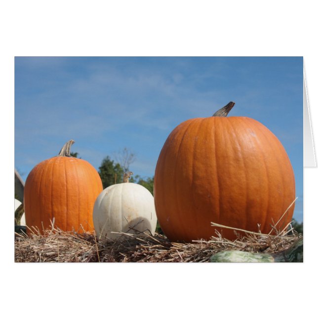 HARVEST ZEIT!!!! (Vorderseite (Horizontal))