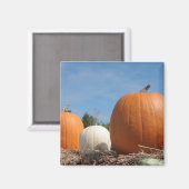 HARVEST ZEIT!!!! MAGNET (Vorderseite/Rückseite)