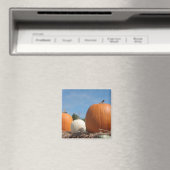 HARVEST ZEIT!!!! MAGNET (In Situ (Geschirrspüler))