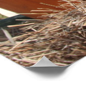 HARVEST ZEIT!!!! POSTER (Ecke)