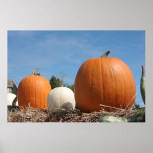 HARVEST ZEIT!!!! POSTER