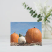 HARVEST ZEIT!!!! POSTKARTE (Stehend Vorderseite)