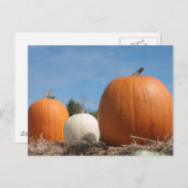 HARVEST ZEIT!!!! POSTKARTE (Vorne/Hinten)