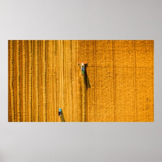 Harvester-Maschine im Feld. Harfen kombinieren Poster (Vorne)