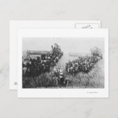 Harvester Scene kombinieren Postkarte (Vorne/Hinten)