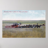 Harvesting Wheat Scene Poster (Vorne)