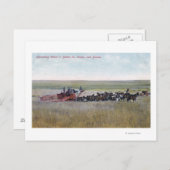 Harvesting Wheat Scene Postkarte (Vorne/Hinten)
