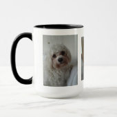 Harvey das Cavahon Tasse (Links)