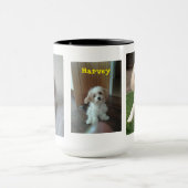 Harvey das Cavahon Tasse (Zentrum)