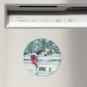 Harvey Magnet (In Situ (Geschirrspüler))