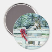 Harvey Magnet (Vorderseite/Rückseite)